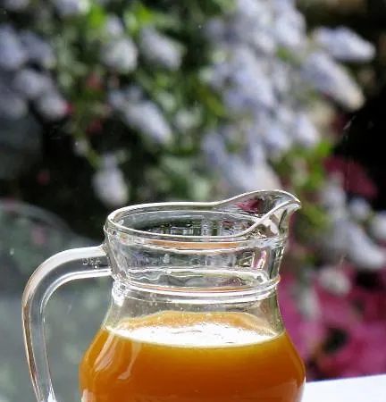 Casa Da Iglesia Viñós