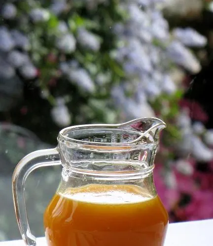 Casa Da Iglesia Viñós